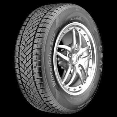 Anvelope iarna Ceat Winter Drive Suv 215/50 R18 92v