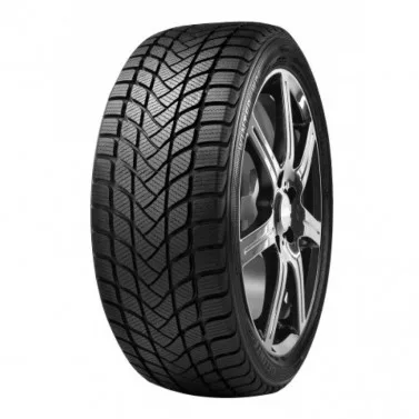 Anvelope iarna Delinte Wd1 205/55 R16 91h