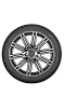 Anvelope iarna Evergreen Ew66 225/40 R18 92h Ranforsat - poza 3